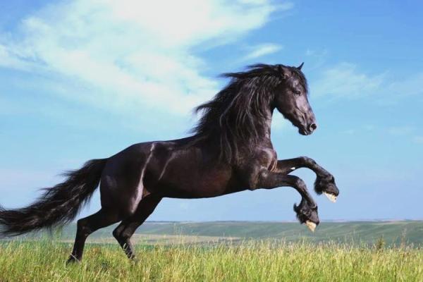 1978年属马的交运在几点时间点_1978年属马的什么时候能转运 1978年属马的交运在几点时间点_1978年属马的什么时候能转运