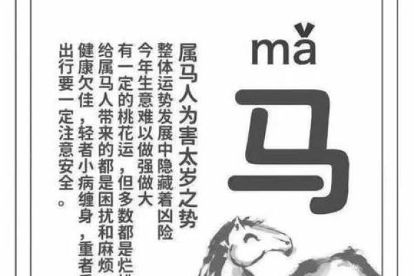 2025年属马人全年运势解析事业财运健康全预测 2025年属马人全年运势解析事业财运健康全预测