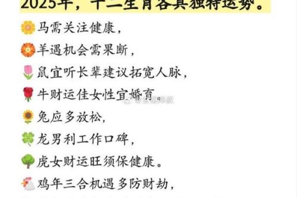 1978年属马女2025运势怎样 2025年1978年属马女性运势全解析财运健康感情预测