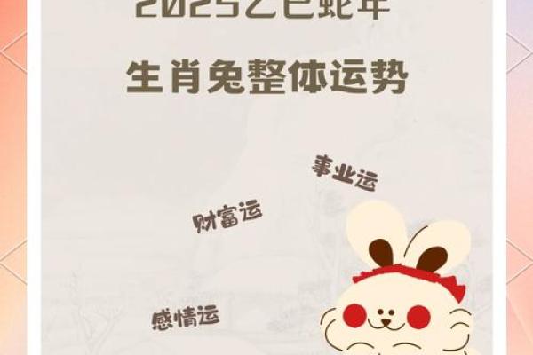 1975年属兔人2025年运势完整版_75年的兔未来五年运势 1975年属兔人2025年运势完整版_75年的兔未来五年运势