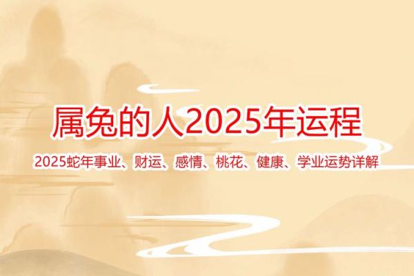 2025年1987属兔运势大翻身好运连连迎转机 2025年1987属兔运势大翻身好运连连迎转机