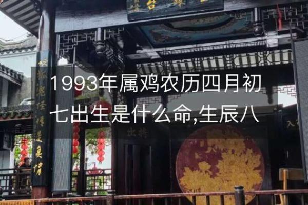1993年属鸡的一生命运 1993年属鸡人一生命运解析事业爱情与财运全揭秘 1993年属鸡的一生命运 1993年属鸡人一生命运解析事业爱情与财运全揭秘