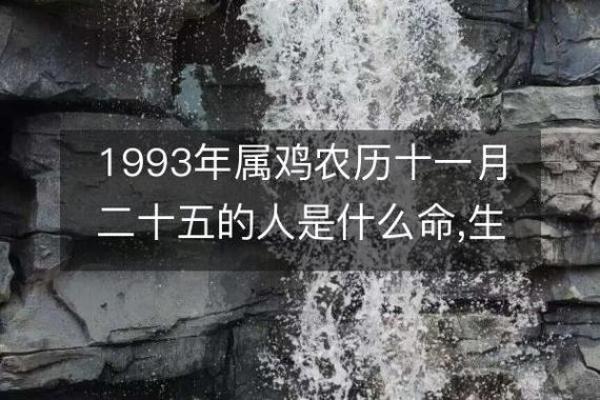 1993年3月属鸡是什么命_93年属鸡31岁有一劫 1993年3月属鸡是什么命_93年属鸡31岁有一劫