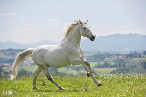 1990年7月17日属马是什么命 1990年七月十七是什么命
