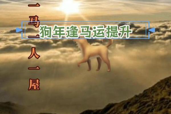 2021年属马狗人的全年运势_2021年属马狗人全年运势解析财运事业健康全预测