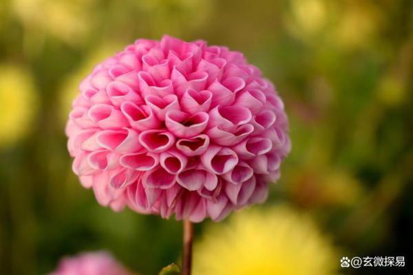 1999年属兔的姻缘 1990年属马的正缘姻缘在哪年 1999年属兔的姻缘 1990年属马的正缘姻缘在哪年