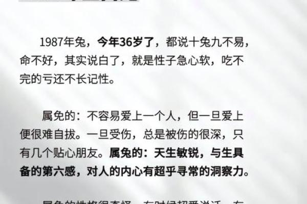 87年属兔男2025年运势_2025年属兔男运势详解87年兔男未来运势大揭秘 87年属兔男2025年运势_2025年属兔男运势详解87年兔男未来运势大揭秘