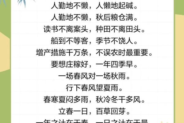 属兔的立春这天有什么讲究 属兔人立春必知的10大讲究与禁忌 属兔的立春这天有什么讲究 属兔人立春必知的10大讲究与禁忌