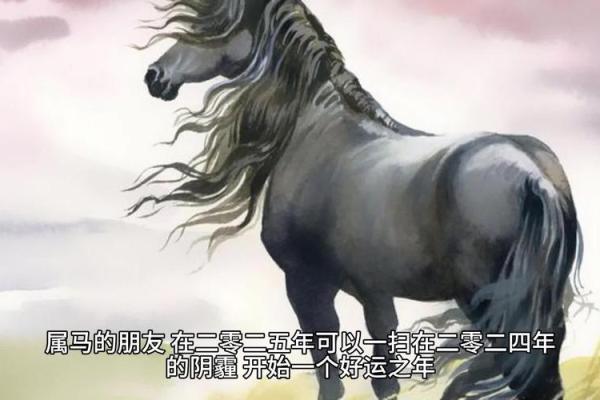2025年属马男人的全年运势_2025年属马男人全年运势详解财运感情事业运程指南 2025年属马男人的全年运势_2025年属马男人全年运势详解财运感情事业运程指南