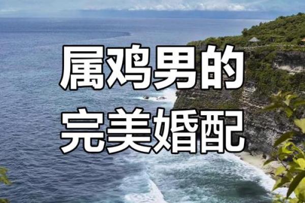 属鸡的配偶是什么属相最合适_属鸡的最佳配偶属相揭秘最合适的婚配选择