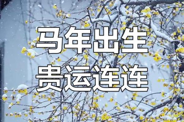 1966年属马人2023年多大57岁运势全解 1966年属马人2023年多大57岁运势全解
