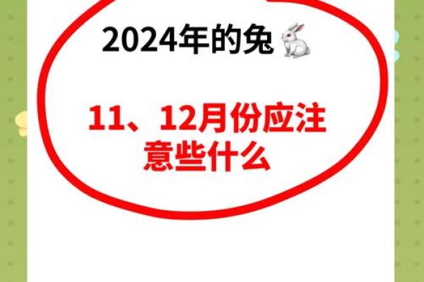 属兔人2024年全年运势运程 属兔人2024年全年运势运程详解