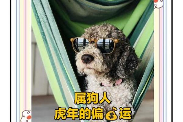 属狗人2025年蛇年全年运势_属兔人2025年虎年全年运势 属狗人2025年蛇年全年运势_属兔人2025年虎年全年运势