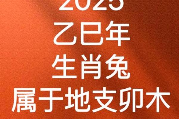 属兔2025运势及运程每月运程_属兔2025运势及运程每月运程豆瓣