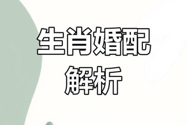 属猪和属马的适合做夫妻吗_90男马95女猪婚配为大忌 属猪和属马的适合做夫妻吗_90男马95女猪婚配为大忌
