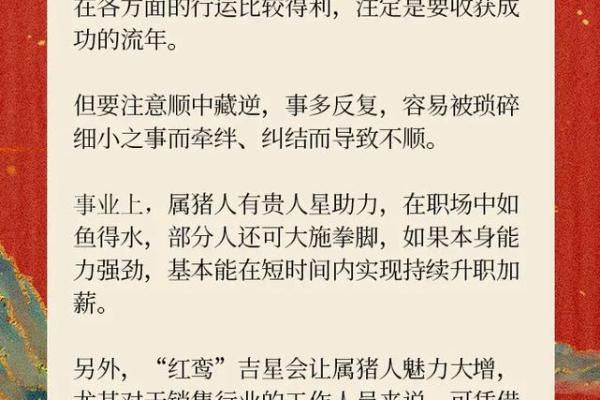 2024年属猪的多大_2024年属猪的年龄解析今年你多大 2024年属猪的多大_2024年属猪的年龄解析今年你多大