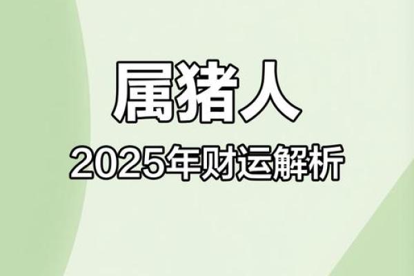 2007年属猪人2025年运势详解财运事业感情全解析