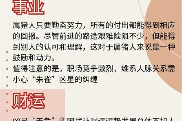 2024属猪人的全年运势_2024年属猪人全年运势解析财运事业爱情全攻略 2024属猪人的全年运势_2024年属猪人全年运势解析财运事业爱情全攻略