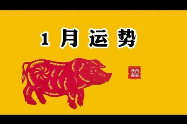 属猪今年多大2025_95年猪2025年属猪人的全年运势 属猪今年多大2025_95年猪2025年属猪人的全年运势