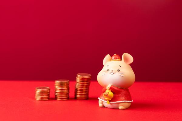 2025年属猪每月运势运程详解 2025属猪人的全年每月运势 2025年属猪每月运势运程详解 2025属猪人的全年每月运势