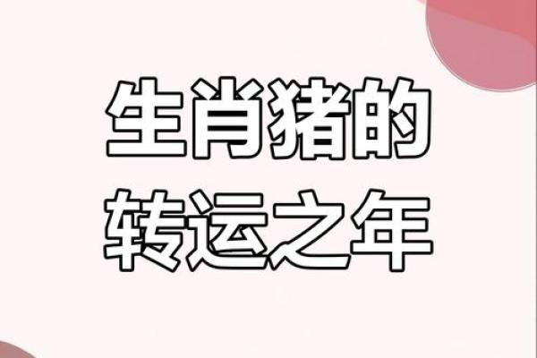 猪在2025年的运势如何_2025年猪年运势解析财运事业爱情全预测 猪在2025年的运势如何_2025年猪年运势解析财运事业爱情全预测