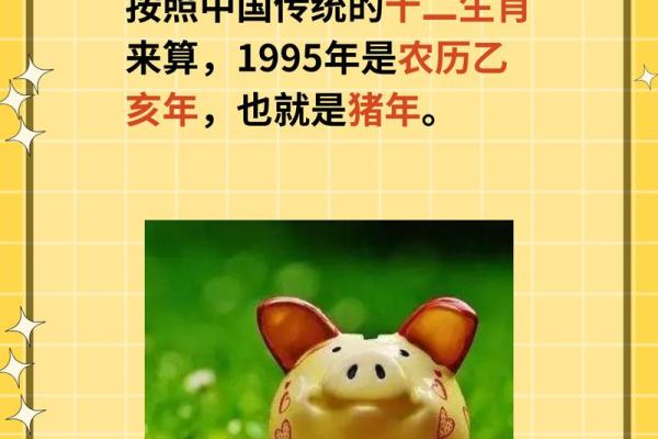 83年属猪多大_83年属猪今年多大2023年属猪人年龄详解 83年属猪多大_83年属猪今年多大2023年属猪人年龄详解