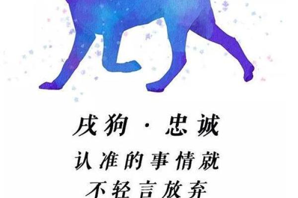 2025属狗人的全年运势1982出生 2025年属狗人全年运势解析1982年出生者必看 2025属狗人的全年运势1982出生 2025年属狗人全年运势解析1982年出生者必看