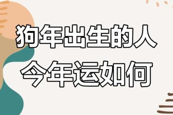 属狗人2025运势_属狗人2025运势卜易居