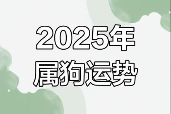 1982年属狗2025年运势详解事业财运健康全解析