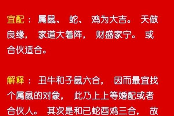 95属猪哪一年结婚最好 95属猪最佳结婚年份解析哪一年最适合步入婚姻 95属猪哪一年结婚最好 95属猪最佳结婚年份解析哪一年最适合步入婚姻