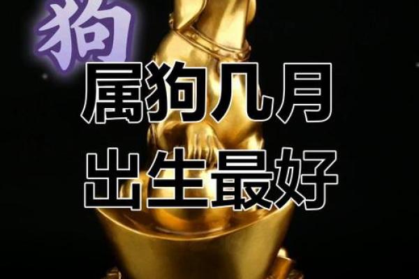 1982年属狗2025年运势及运程 1983年属猪2025年运势及运程_1739578341 1982年属狗2025年运势及运程 1983年属猪2025年运势及运程_1739578341