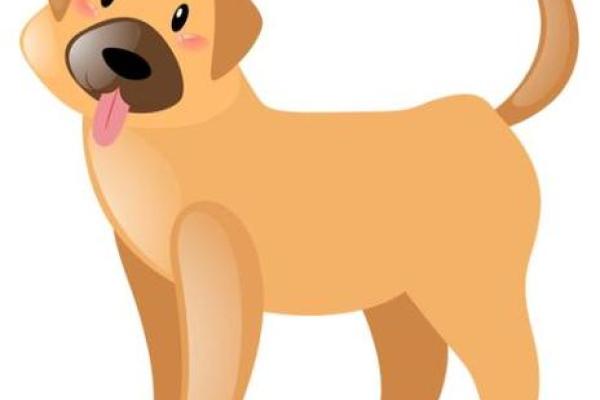 70年属狗55岁2025年运势解析命中注定的转折点 70年属狗55岁2025年运势解析命中注定的转折点