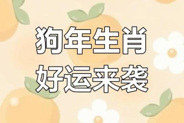 2025年属狗今日运势详解财运事业感情全解析