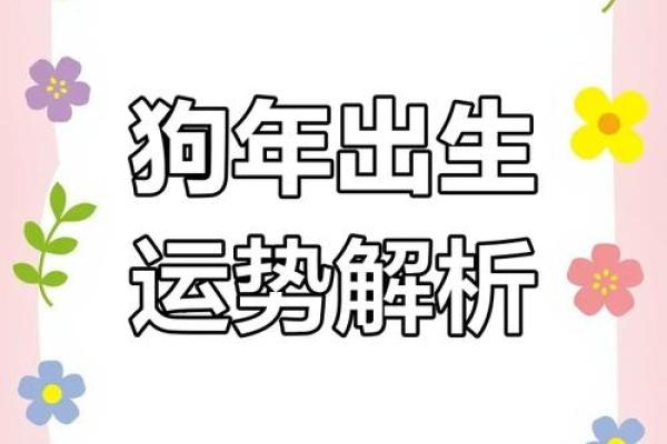 1982年属狗人今日运势 1982年属狗人今日运势解析财运事业感情全揭秘 1982年属狗人今日运势 1982年属狗人今日运势解析财运事业感情全揭秘