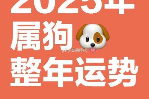 属狗的人2025年的运势 2025年属狗人运势详解事业财运爱情全解析