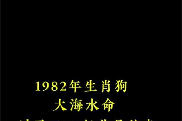2006年属狗2025年运势及运程_1982属狗2025年的每月运势及运程 2006年属狗2025年运势及运程_1982属狗2025年的每月运势及运程