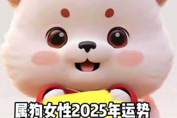 70年属狗2025年运势及运程每月运程 属狗82年的2025年运势完整版 70年属狗2025年运势及运程每月运程 属狗82年的2025年运势完整版