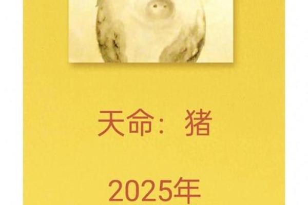 2025生肖猪1983 2025年生肖猪运势解析1983年出生者必看 2025生肖猪1983 2025年生肖猪运势解析1983年出生者必看