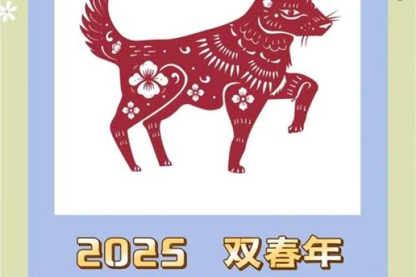 2025年狗人运势详解财运事业爱情全面解析 2025年狗人运势详解财运事业爱情全面解析