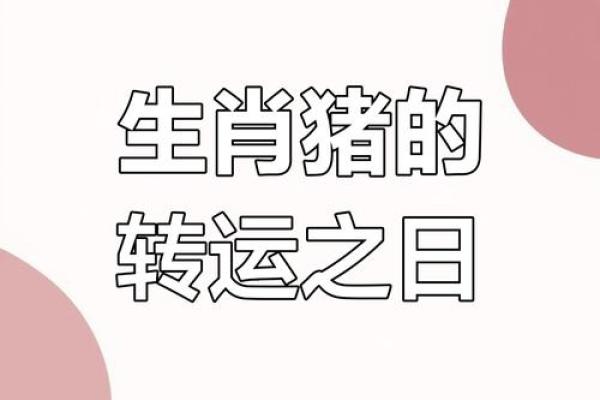 猪肖2025年运程_2025年猪肖运程详解财运事业爱情全面解析 猪肖2025年运程_2025年猪肖运程详解财运事业爱情全面解析