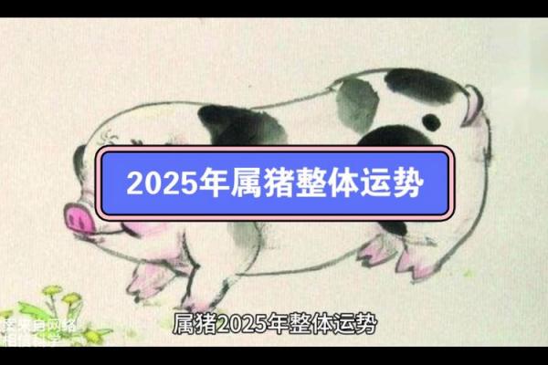 属猪的人2025年运势及运程详解吉祥方位_2025年属猪人运势详解吉祥方位与运程全解析 属猪的人2025年运势及运程详解吉祥方位_2025年属猪人运势详解吉祥方位与运程全解析