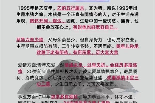 2025年属猪年龄 2025年属猪人年龄详解及运势分析 2025年属猪年龄 2025年属猪人年龄详解及运势分析