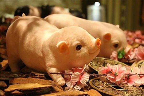 属猪命中注定的情人 属猪的正缘桃花是谁 属猪命中注定的情人 属猪的正缘桃花是谁