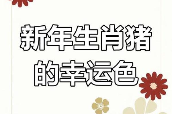 2025年属猪幸运色指南穿对颜色好运连连 2025年属猪幸运色指南穿对颜色好运连连