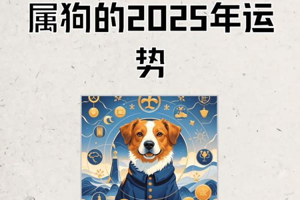 2025年属狗人的全年运势女 2025年属狗女性全年运势详解事业财运爱情全解析 2025年属狗人的全年运势女 2025年属狗女性全年运势详解事业财运爱情全解析