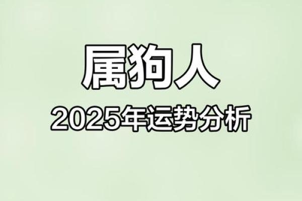 2025年属狗的财运和运气如何 属狗2025年运势及运程每月运程狗 2025年属狗的财运和运气如何 属狗2025年运势及运程每月运程狗