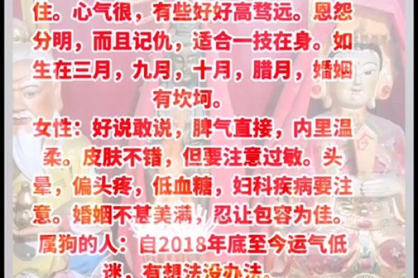 94年属狗的婚姻运势_94年属狗婚姻最终归宿 94年属狗的婚姻运势_94年属狗婚姻最终归宿