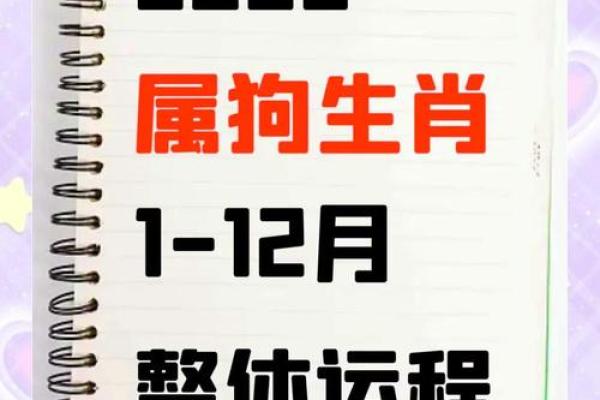 2025属狗人的全年运势1982出生_20251994年属狗人的全年运势