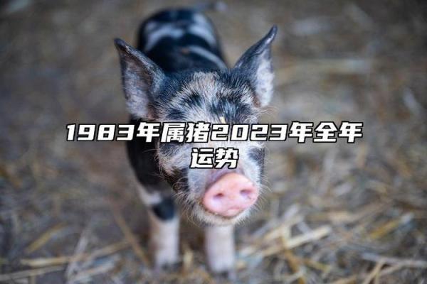 83年的猪2025年的运势 1983年的猪2025年的运势