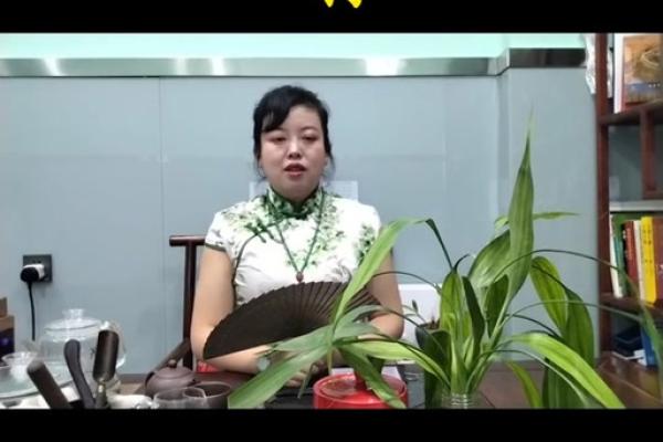 一九七0年属狗的人今年财运如何_一九七零年属狗在二零二一年的运势